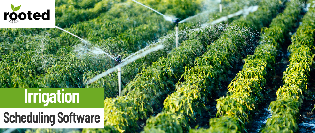 Enhancing Irrigation Efficiency with Real-Time Weather Data