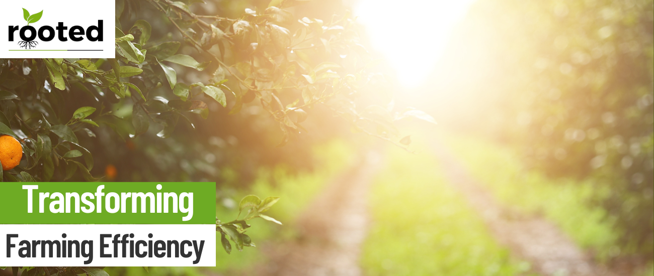 Transforming Farming Efficiency with Precision Irrigation