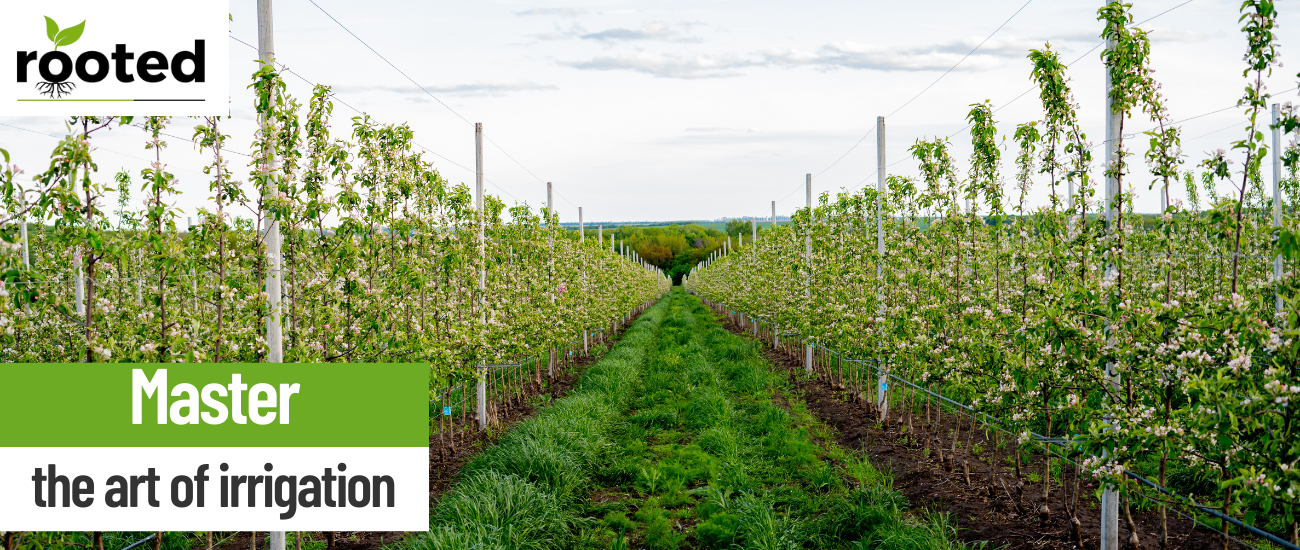 Adapting Irrigation to Weather and Crop Needs: Navigating the Complexities of Water Management