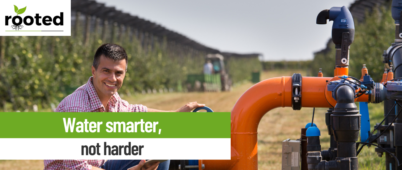 Deciphering the Core of Irrigation Scheduling: A Practical Guide