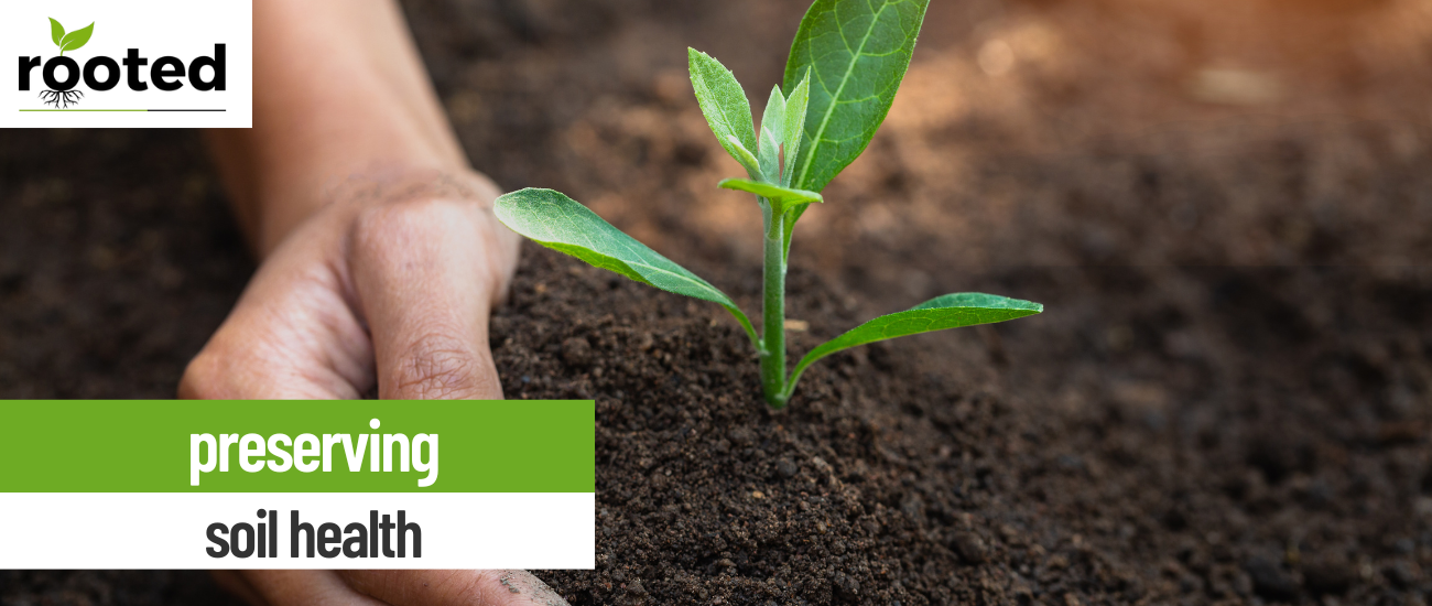 Reflecting on Earth Day: The Imperative of Smart Irrigation Scheduling